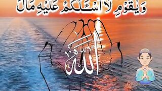 Al Quran kareem || (surah) quranic ayat || Islamic vives