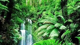 Meditation Music