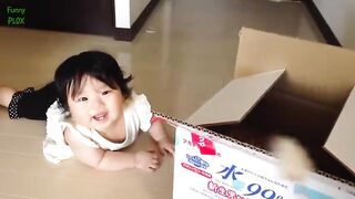 Funny cats movement baby laughing