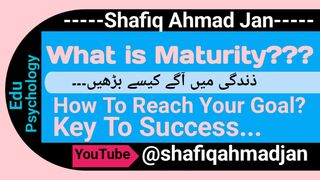 What is Maturity?? Maturity level.