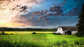 Beautiful nature