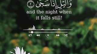 Tilawat e quran