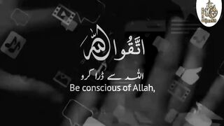 Al Quran kareem|| Quranic Surah|| Islamic content|| Islamic Rays