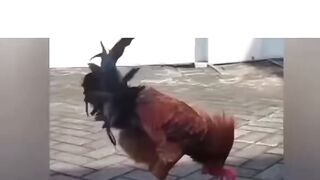 Funny