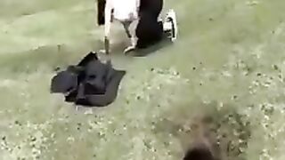 Aww New Funny