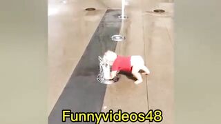 Try not to laugh funniest babies