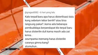 Apakah TERPAL baru harus di sterilisasi dulu❗Bagaimana cara sterilisasinya❓