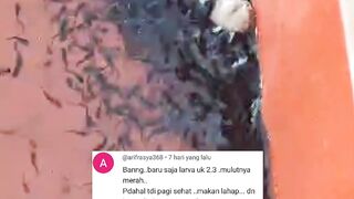 Padahal baru kemarin saya bahas ATAP penutup kolam❗Udah kejadian begini