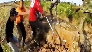 Discovery of two pythons