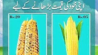 beautiful Urdu quotes //motivational Urdu quotes