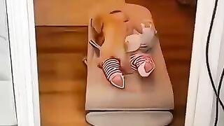 #cat #dog #dogs #cut #cute #love #lovecats #lovedogs #funny #virla #viralvideo #foryou #foryoupage