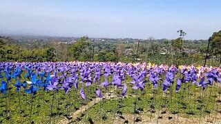 "Embracing the Beauty of Paper Windmill Tours in the Majestic Mountains"