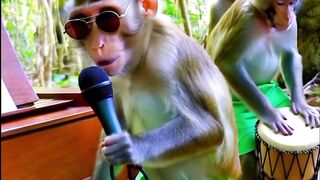 Funny video