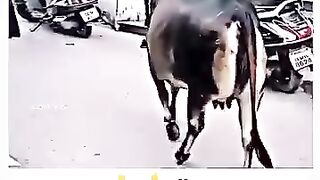 Duniya ki sabse best video # trending# viral