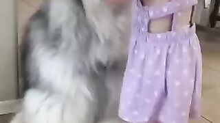 Dogs and babies part 3