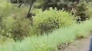 Increíble Rescate de un Bambi Abandonado: ¡Una Segunda Oportunidad! ???????? #RescateAnimal #SalvandoVidas