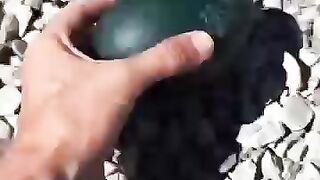 A family rescued an emu egg and raised it in their house #animalshorts #shortvideo