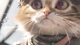 my military cat