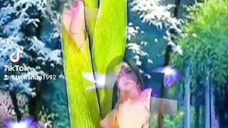 Hamza Arts love songs 25