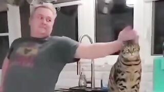 catttt