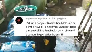 Kenapa setiap beli bibit lele suka diberi MINYAK sayur didalam wadah packingan, apa manfaatnya