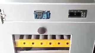 Yellow stick