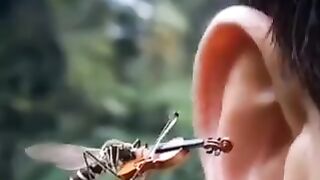 Jangan Sombong Dengan apa yang kita Punya
