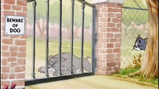 Tom and Jerry Cartoon movie