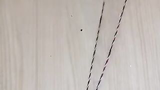 Ellipse_shape_#science_#sciencefacts(360p).