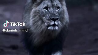 #positivevibes #motivational #motivation #viral #fyp