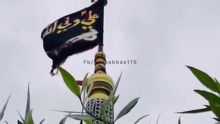 Alam Hazrat Ghazi Abbas a.s