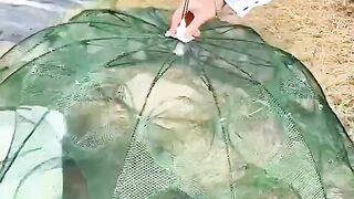 mesh umbrella for fishing
