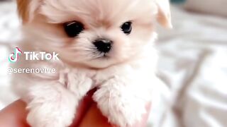 Sooo cuute ????