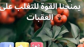 self-motivation