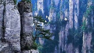 Amazing