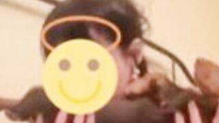 Full phemoid dog video Original