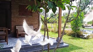 Savoring the Tranquil Atmosphere of a Peaceful Village