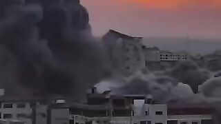 Palestine sed