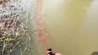 Fishing Lure Traps