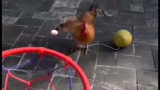 The best basketball player