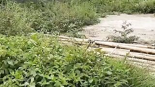 Pembacaan lahan harus terperinci untuk tata letak dan ukuran kolam