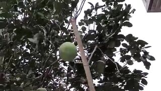 Amazing so funny video