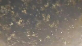 Air kolam TANAH berubah-ubah warna itu biasa dan tidak masalah, Jangan risau