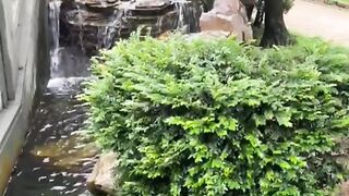 Beautiful Place in DiamondHill,Hongkong