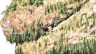 Godzilla Mountin ????#godzilla #godzillamountain #fyp #tiktok