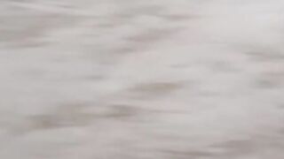 Two  dogs  and  one  baby playing