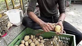 ????Tapri wale Bread Pakode | India Street Food Shorts #shorts #shortsfeed