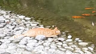 these are the good fishermen