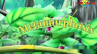 metamorphosis | life cycle of butterfly | nursery rhymes | kids songs | cartoon | children songs