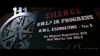An Unexpected Fireworks Display ｜ Harry Potter and the Order of the Phoenix.